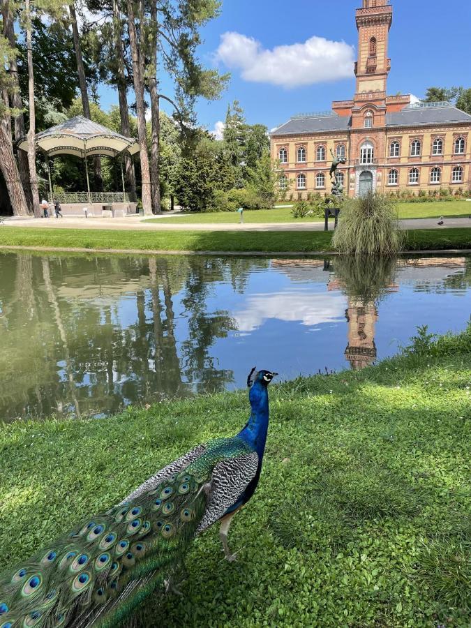 Charmant T2 Avec Grande Terrasse Quartier Jardin Massey Tarbes Kültér fotó